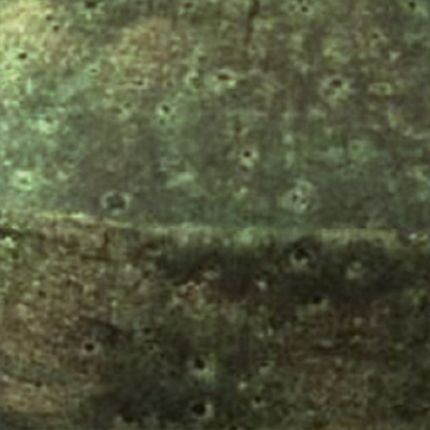 Illustration for Svitanok project